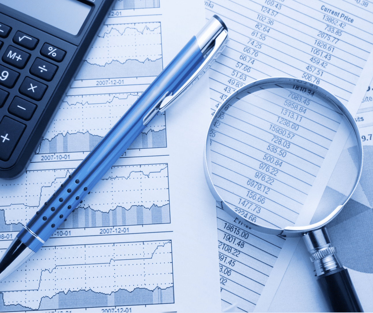 Forensic Accounting & Financial Investigations